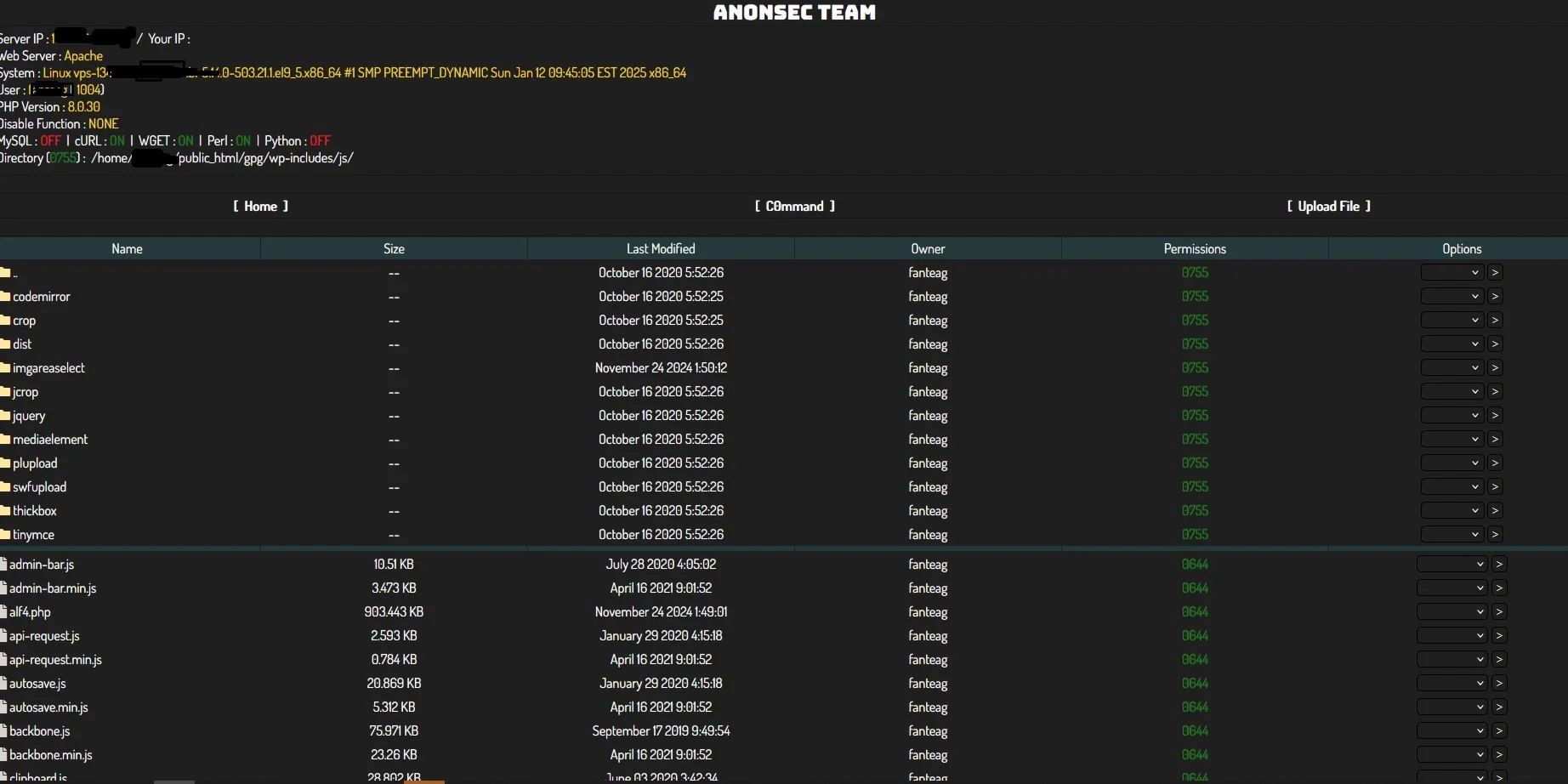 AnonSec Team Backdoor Shell — Bypass Shell preview for security testing. Version v1.0, file size 93.